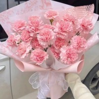 南海鲜花速递