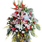 Ϻʻٵ