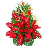 Ϻʻٵ