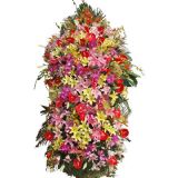 南海开业花篮