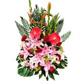 Ϻʻٵ